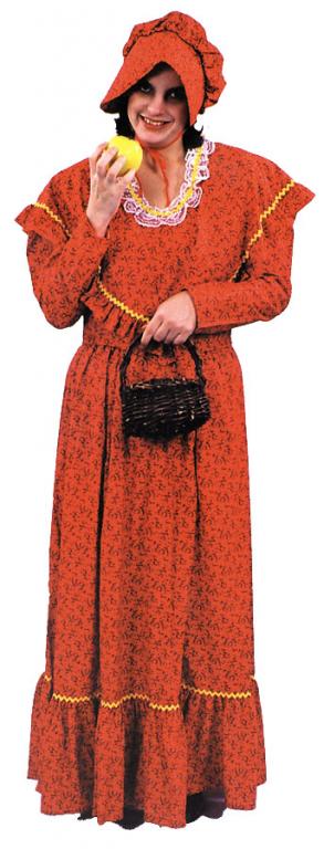 Pioneer Adult Dress - Click Image to Close