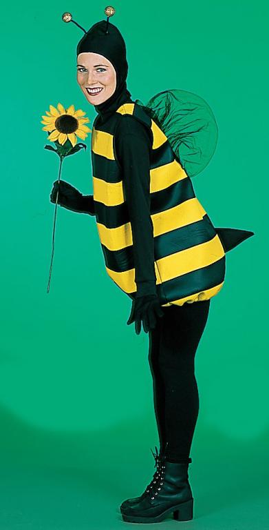 Bumble Bee Adult Costume