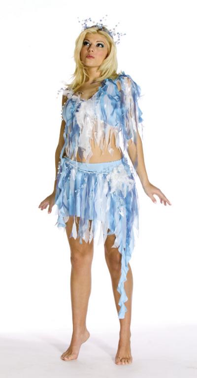 Winter Nymph Adult Costume