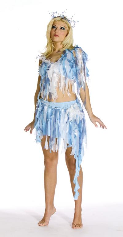 Winter Nymph Adult Costume - Click Image to Close