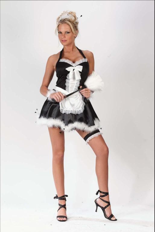 Upstairs Maid Adult Costume - Click Image to Close
