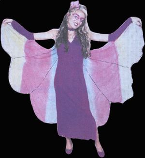 Butterfly Adult Costume - Click Image to Close