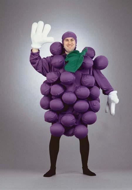 Purple Grapes Adult Costume - Click Image to Close