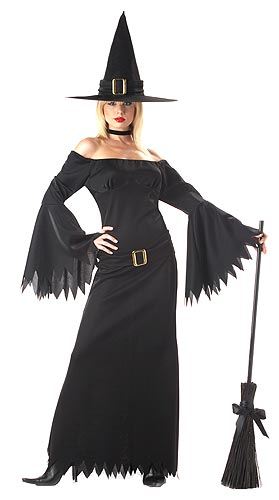 Adult Sexy Witch Costume - Click Image to Close