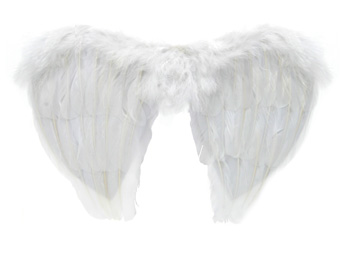 Small Angel Wings - Click Image to Close