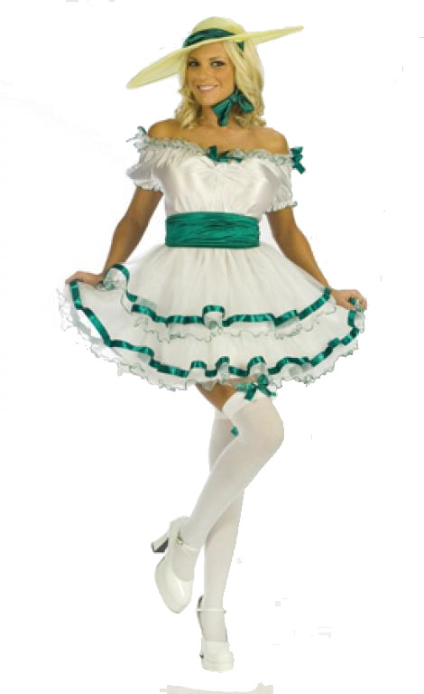 Sexy Southern Belle Costume - Click Image to Close