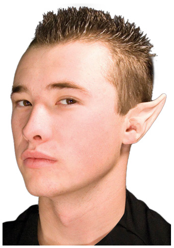 Large Fairy Ear Tips - Click Image to Close