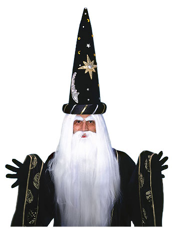 Merlin Wig and Beard Set - Click Image to Close
