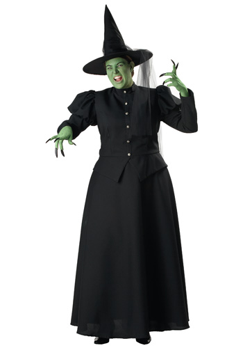Plus Size Womens Wicked Witch
