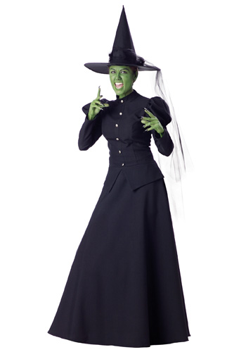 Womens Wicked Witch Costume