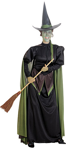 Wicked Witch Adult Costume