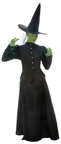 Deluxe Plus Size Wicked Witch Costume - Click Image to Close