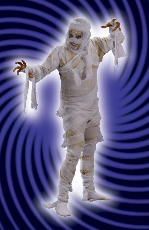 Mummy Man Adult Costume - Click Image to Close