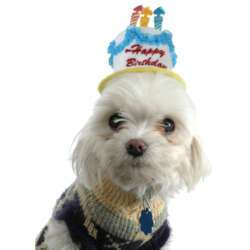 Mini Birthday Hat - Click Image to Close