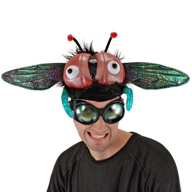 Buzzy Fly Hat - Click Image to Close