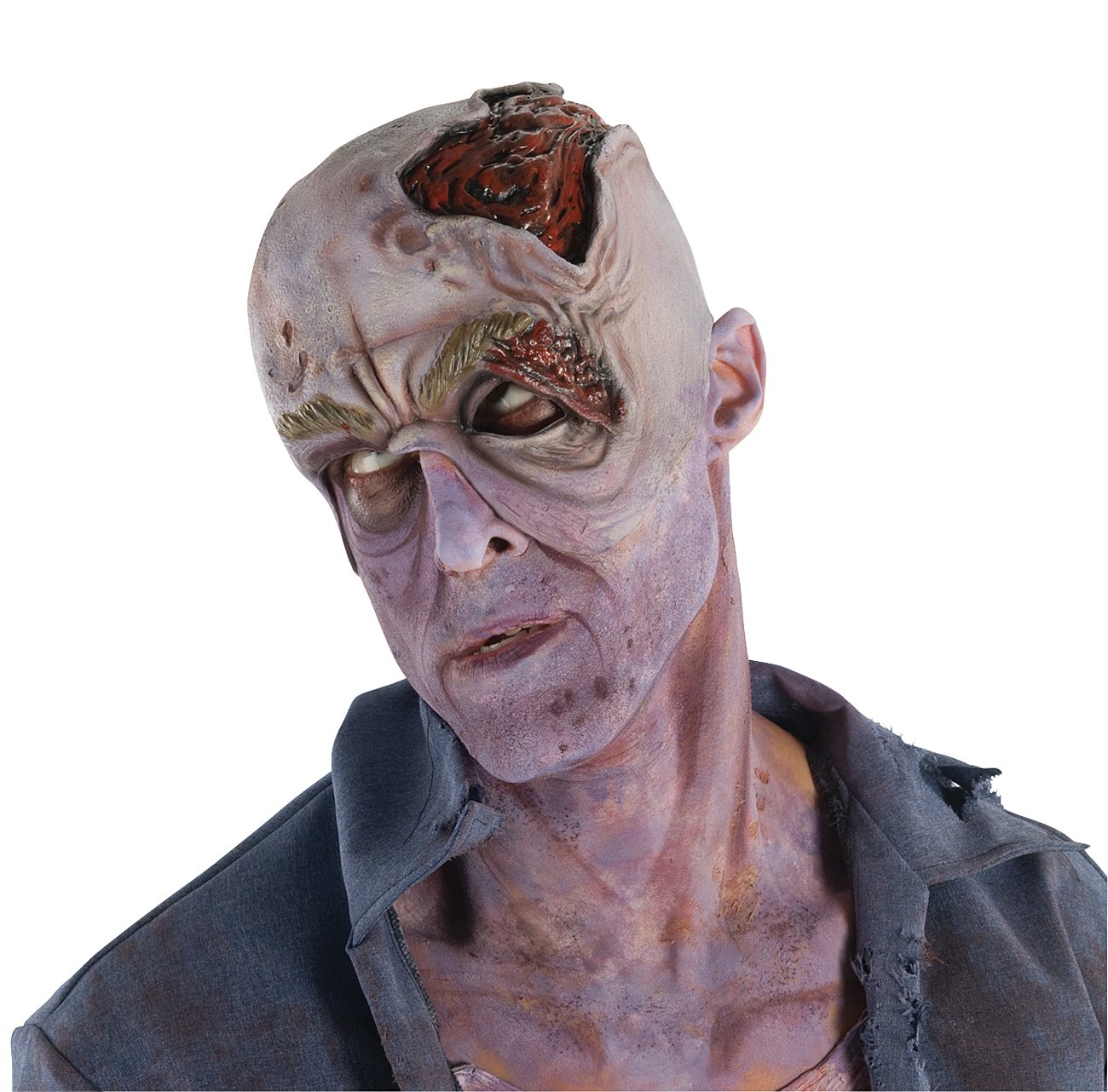 The Walking Dead - Decayed Head Mask (Adult) - Click Image to Close