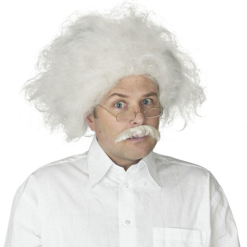 Einstein Wig Adult
