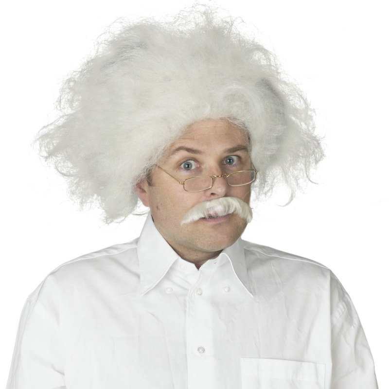 Einstein Wig Adult - Click Image to Close