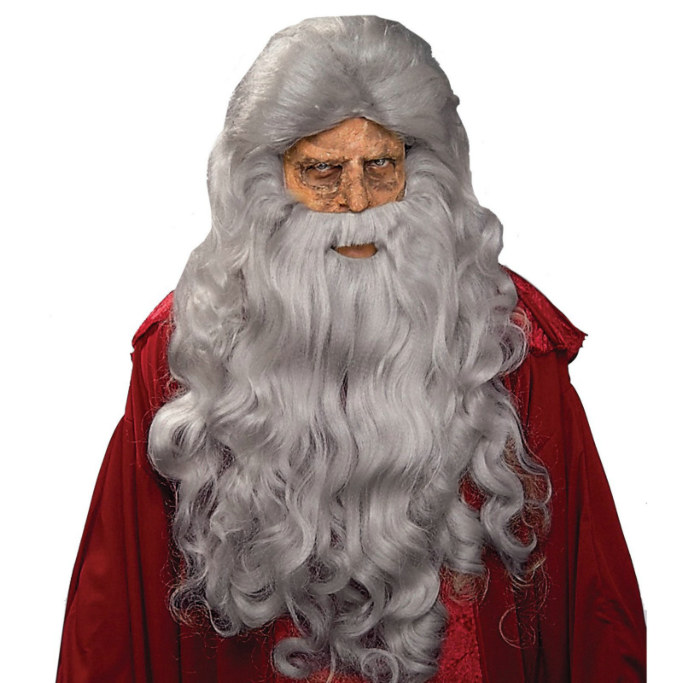 Moses Wig/Beard - Grey - Click Image to Close