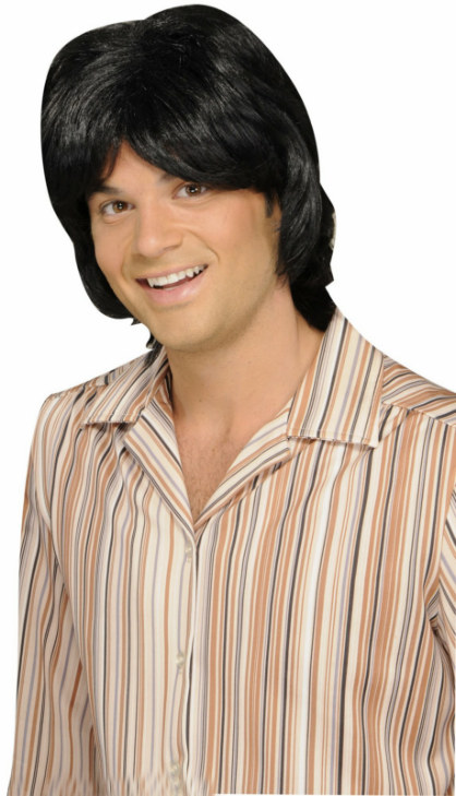 70's Teen Heart Throb Adult Wig - Click Image to Close