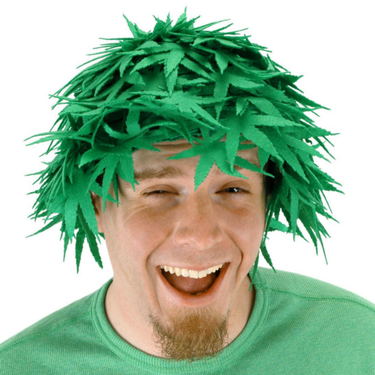 Pot Head Adult Wig - Click Image to Close