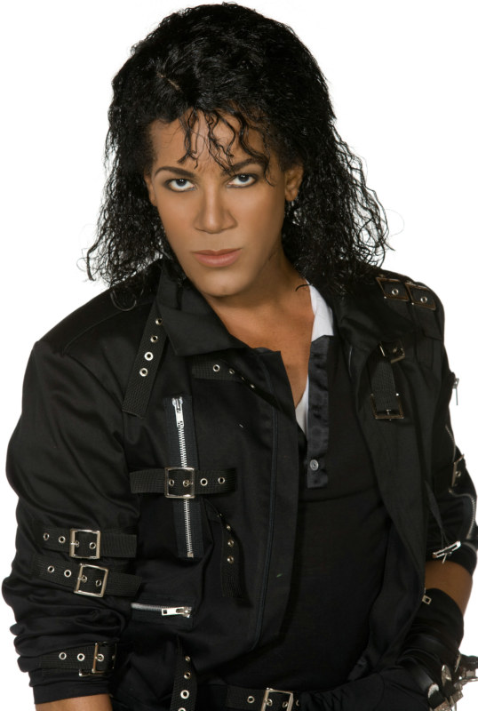 Michael Jackson Long Adult Wig - Click Image to Close