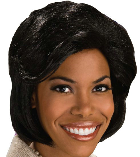 First Lady Adult Wig - Click Image to Close