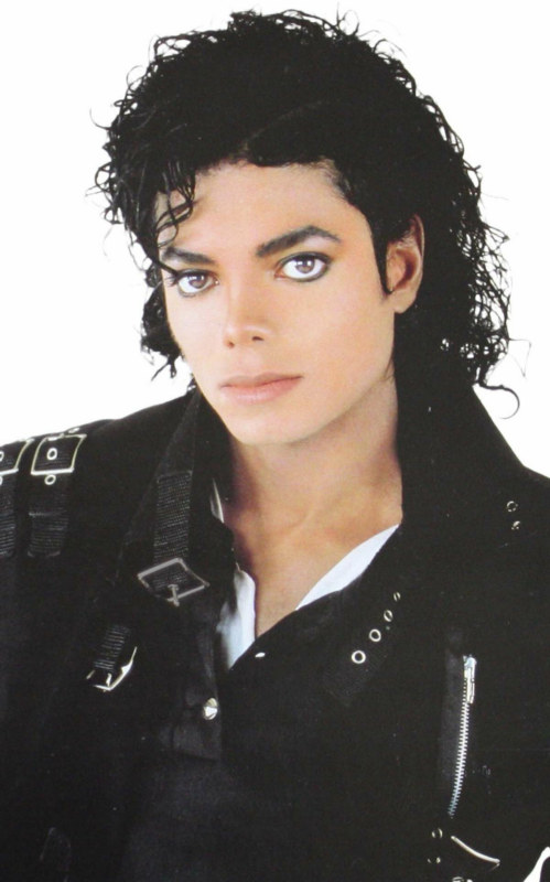 Michael Jackson Adult Curly Wig