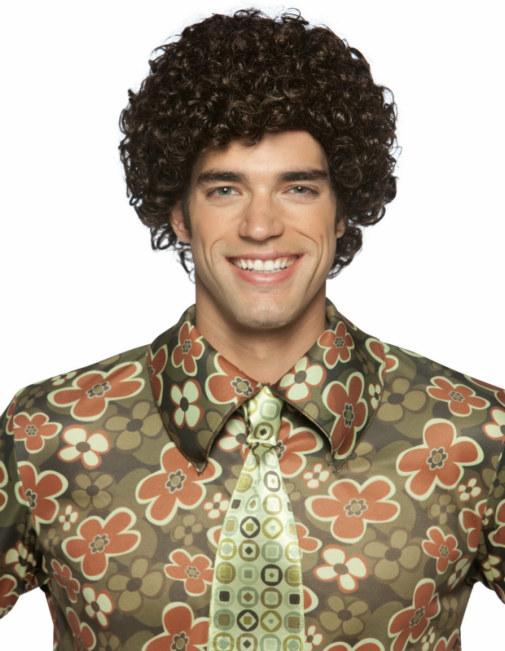 Brady Bunch Mike Brady Adult Wig - Click Image to Close