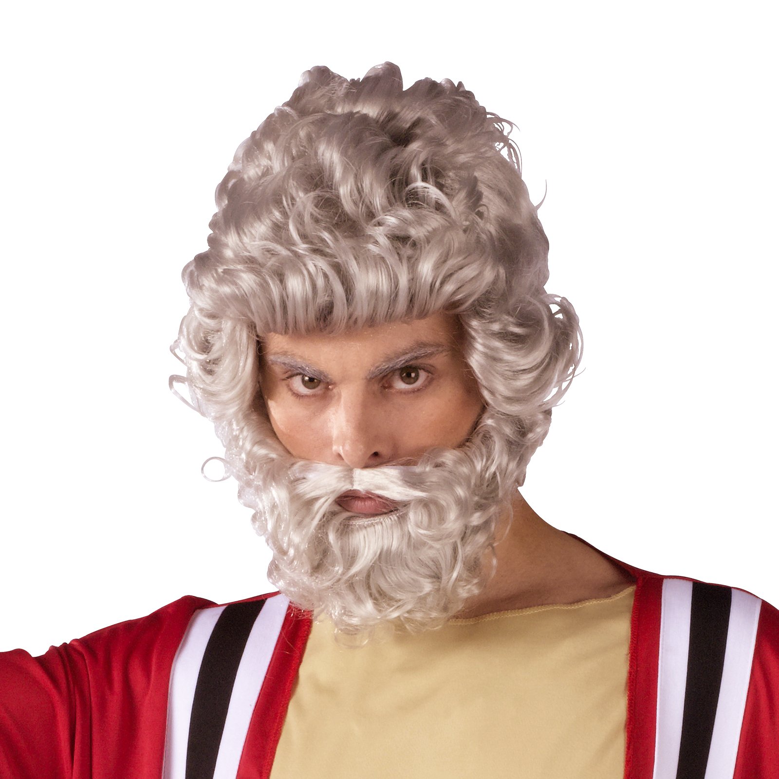 Moses Wig And Beard Set (Adult) - Click Image to Close