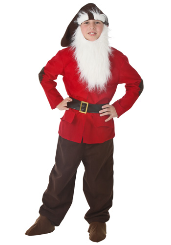 Kids Dwarf Costume - Click Image to Close