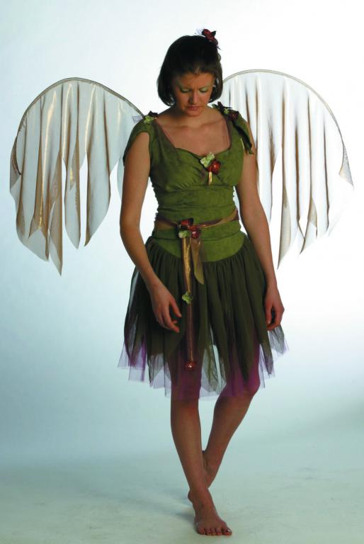 Fairy Foliage Green Adult Costume - Click Image to Close