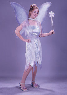 Watercolor Fairy Velvet Adult Costume - Click Image to Close