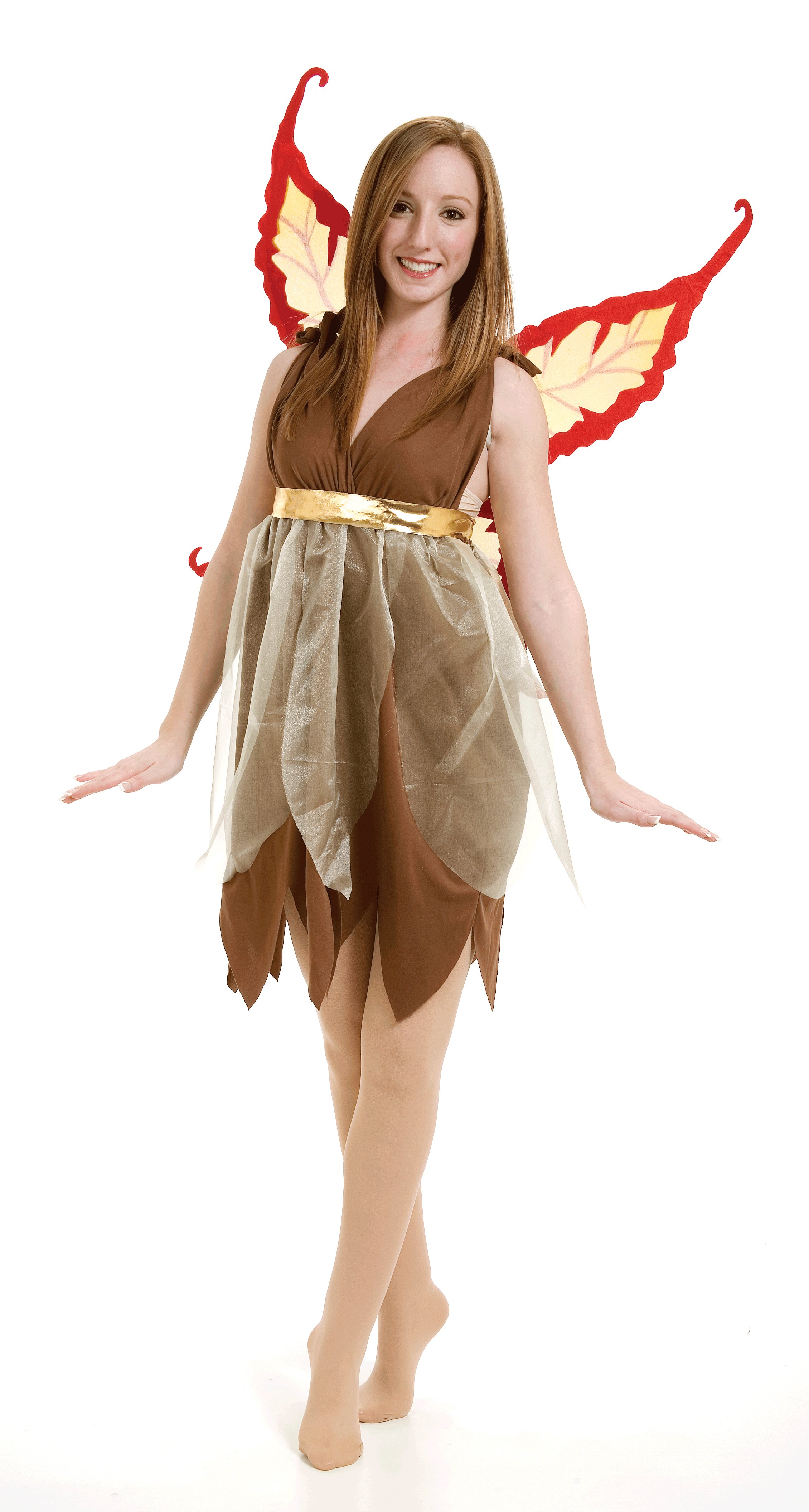 Autumn Fairy Adult Costume - Click Image to Close