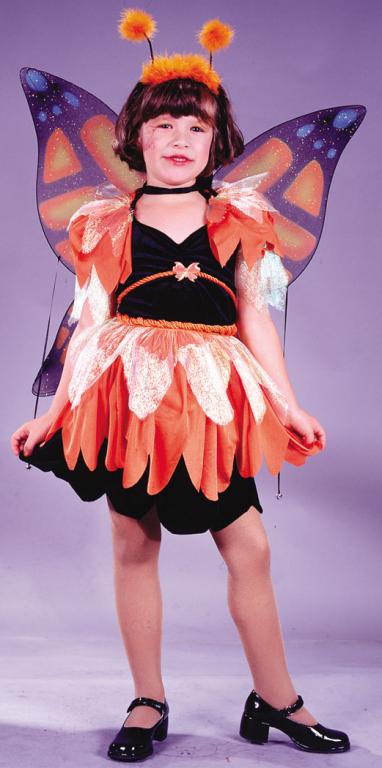 Butterfly Child Costume - Click Image to Close