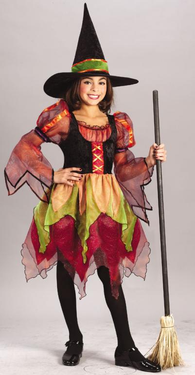 Fairy Witch Child Costume