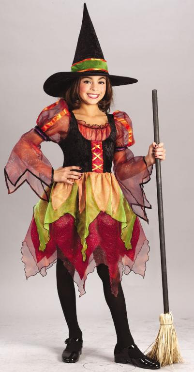 Fairy Witch Child Costume - Click Image to Close