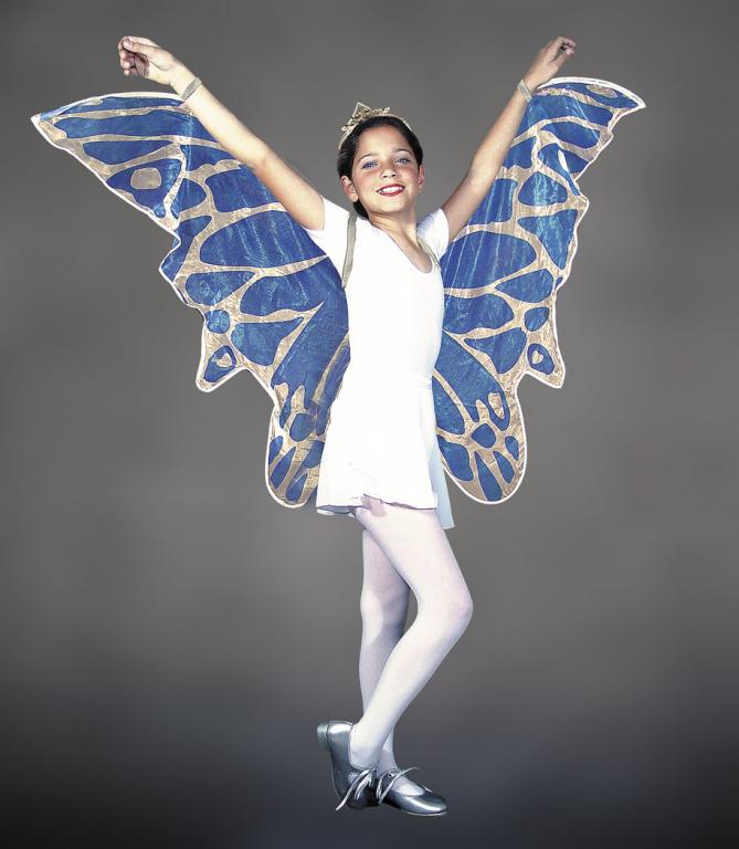 Child Fairy Wings