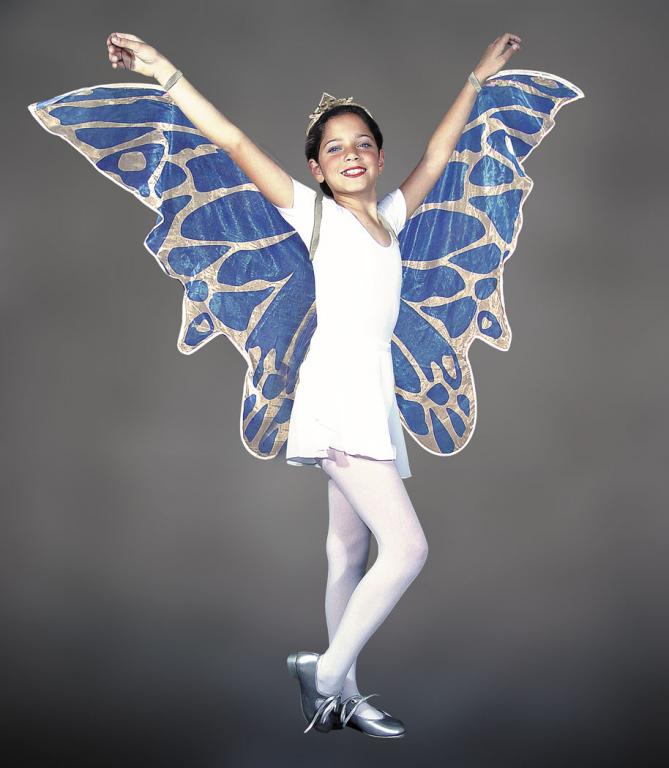 Child Fairy Wings - Click Image to Close