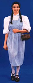 Dorothy Dress Adult Costume