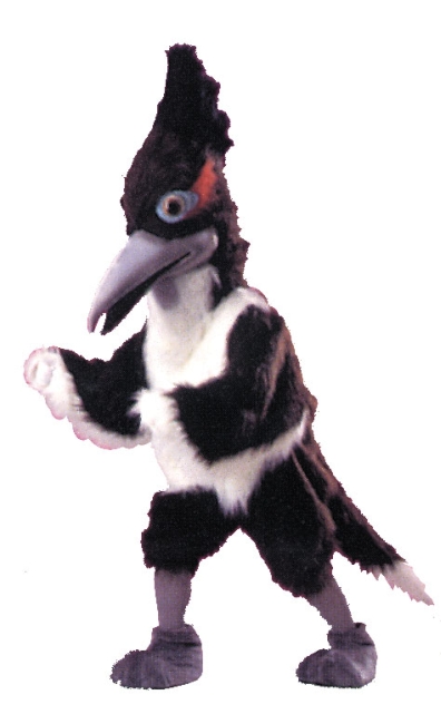 Roadrunner Adult Costume - Click Image to Close