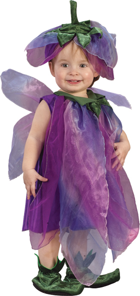 Sugar Plum Fairy Infant Costume - Click Image to Close