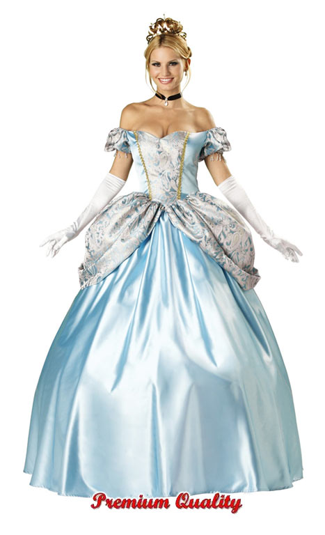 Enchanting Princess Adult Costume - Click Image to Close