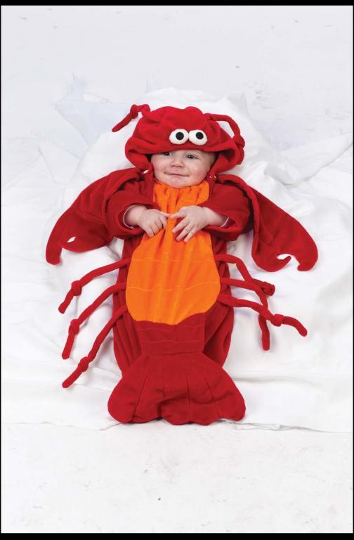 Lobster Bunting Infant Costume