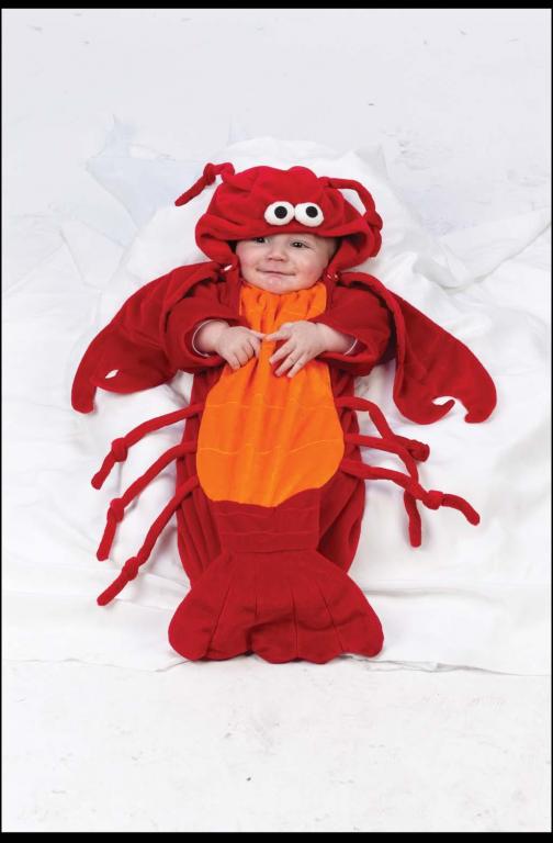 Lobster Bunting Infant Costume - Click Image to Close