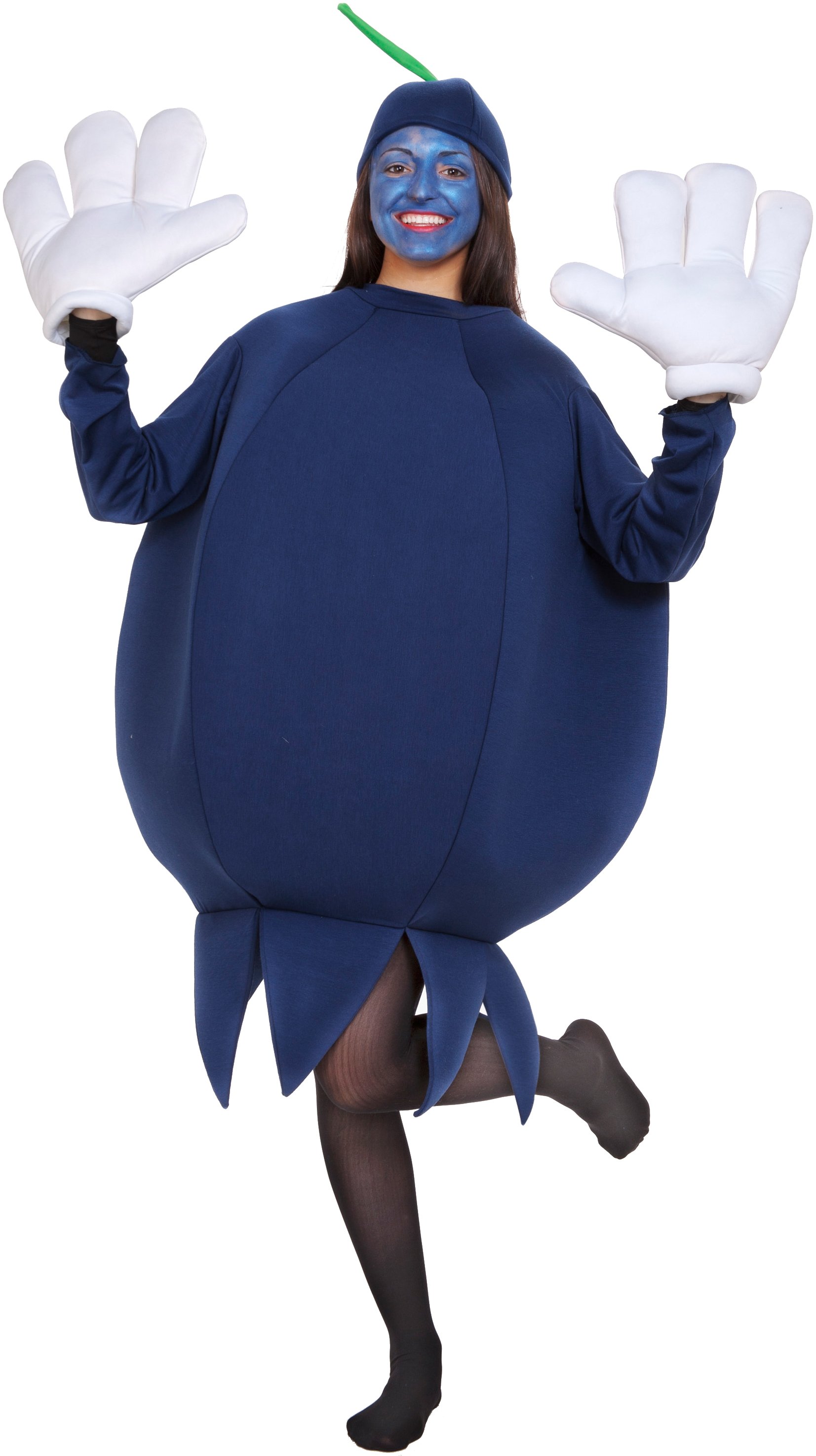 Blueberry Adult Costume - Click Image to Close