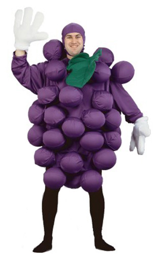 Adult Purple Grapes Costume - Click Image to Close