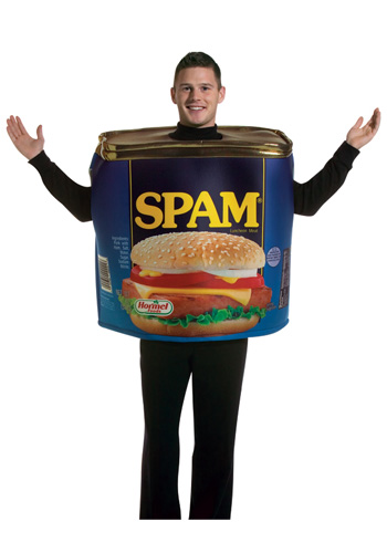 Adult Spam Costume - Click Image to Close