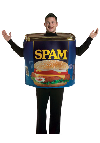 Adult Spam Costume