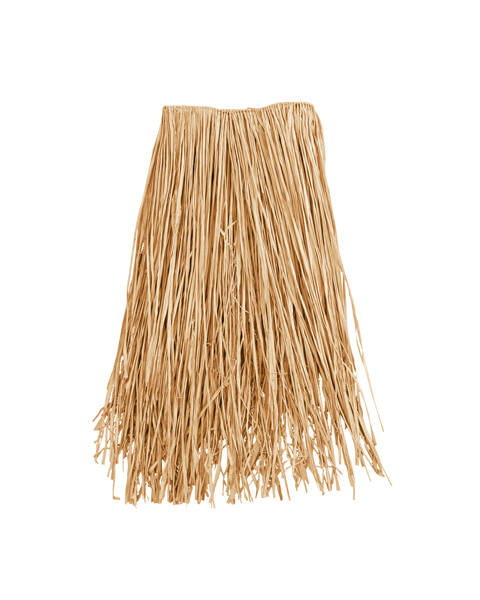 Raffia Grass Skirt 22 Inch Child Costume - Click Image to Close